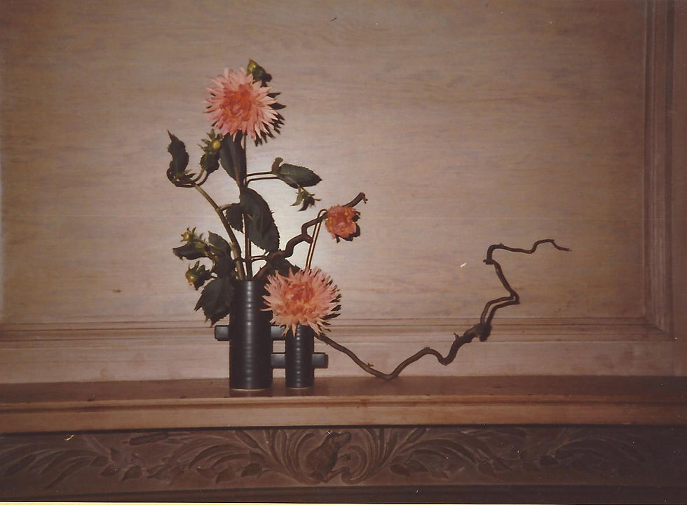 85 86 FD Anne D award for many designs she did2