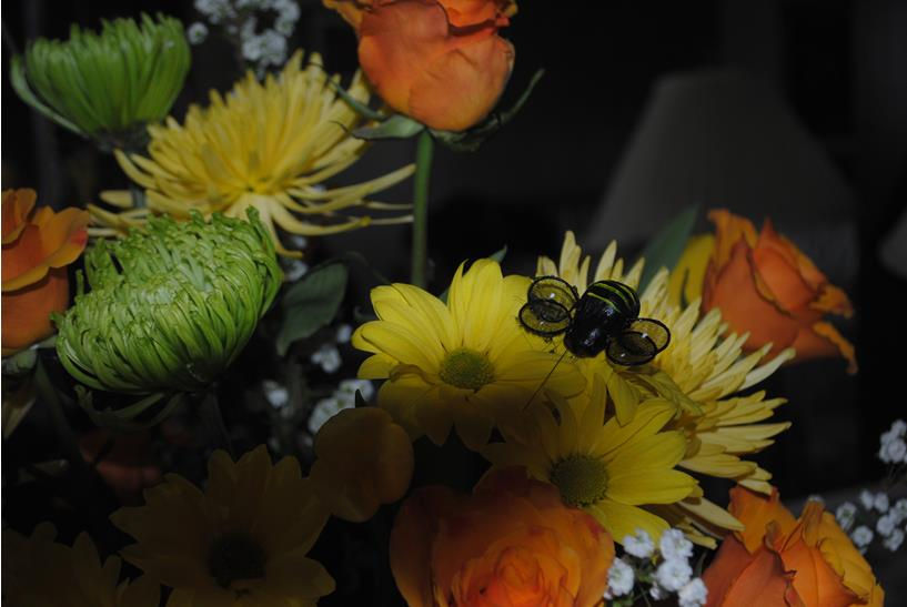 Elaine Arnold's arrangement for the Victorian William W. Early house in Brandywine
