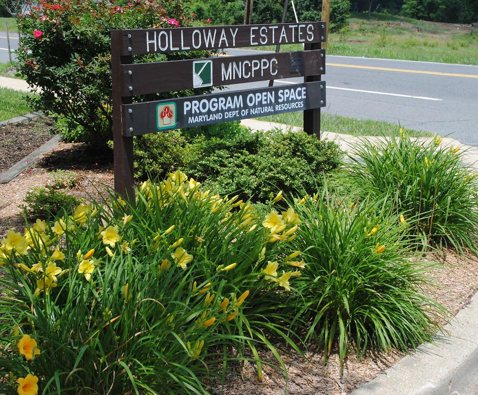 Jun 2014 Holloway Garden entrance_1