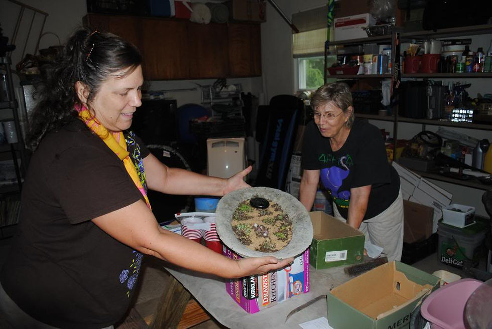 Jun 2013 Lenay's hypertufa class Lenay a