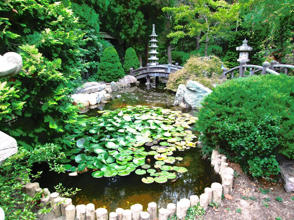 Oct 2013 Club trip to Hillwood Gardens_1
