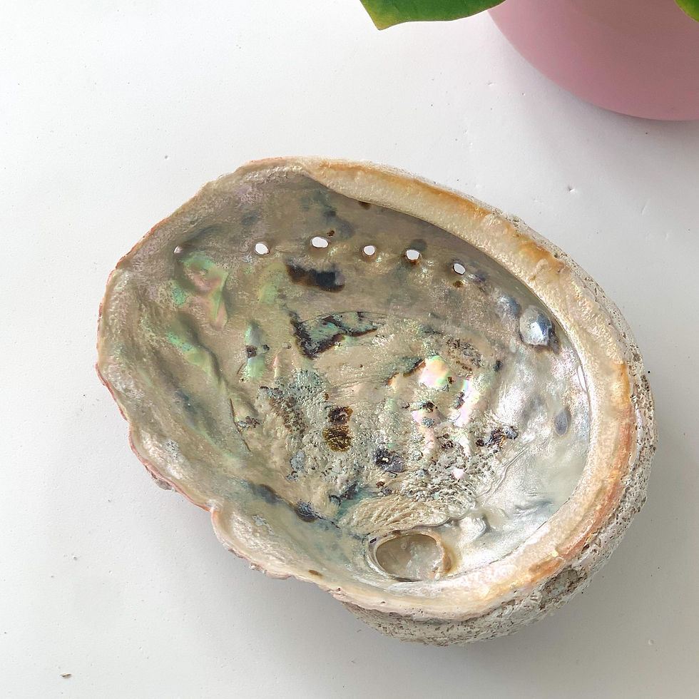 Abalone Shell Large