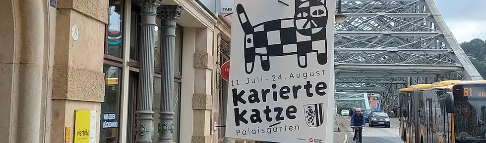 viertel4_referenz_karierte-katze-kopfbild.webp