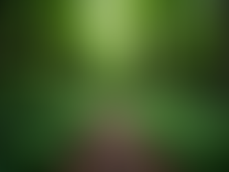 Auf dem Weg nach Cortina: Lavaredo Ultratrail 120k