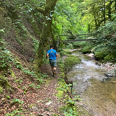 Trail