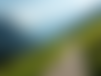 Gemeinschaftsgefühl beim Trailrunning im Oberwallis