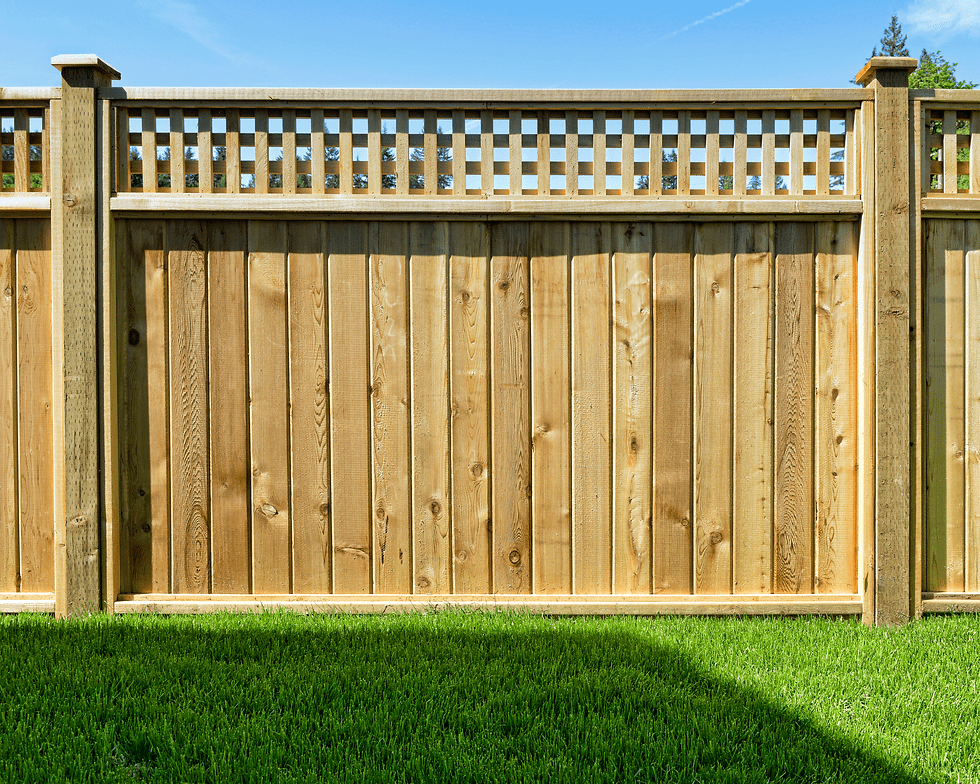 FENCES