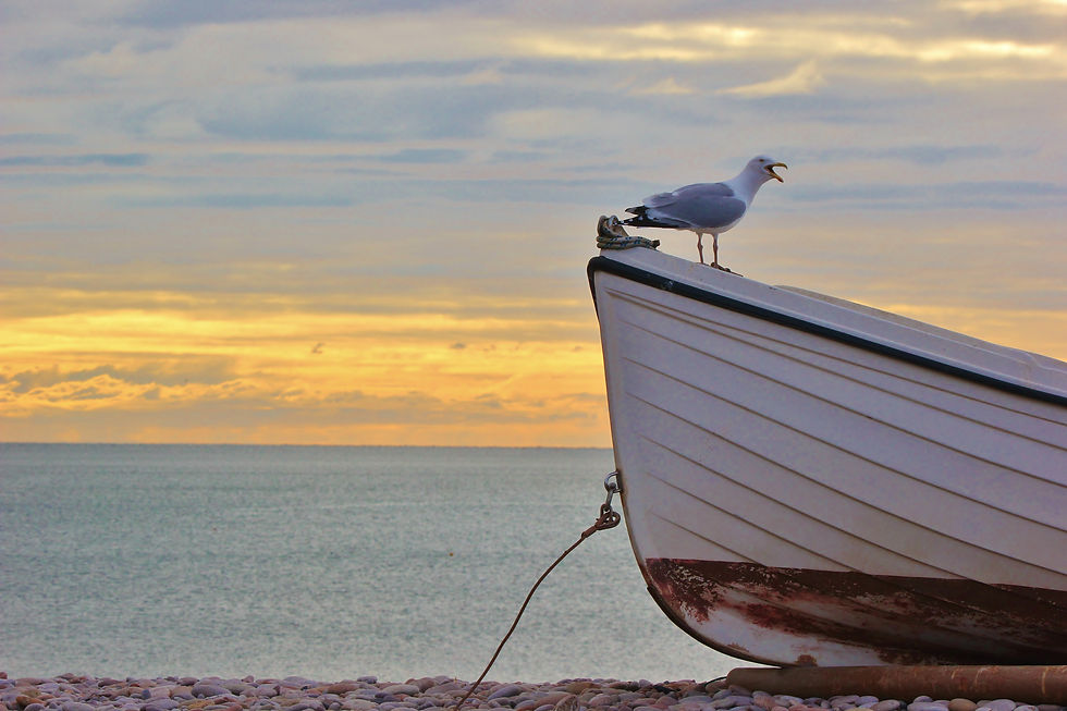 Budleigh sea (2)