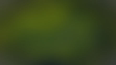 Happy Earth Day from Exlterra