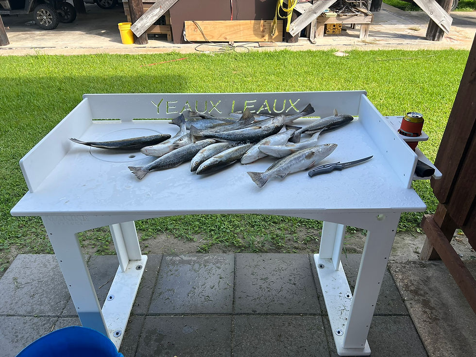 Cleaning Station