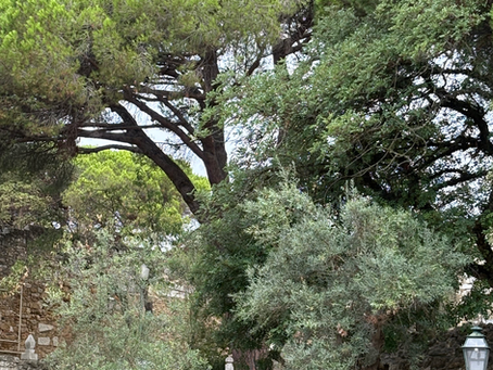 Day 5 - Lisbon City Tour, Street Art Tour by Tuk-Tuk