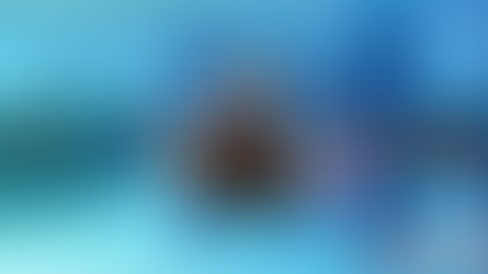 Gonatas joins University of Rochester!