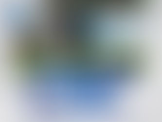 Marneros commits to Memphis