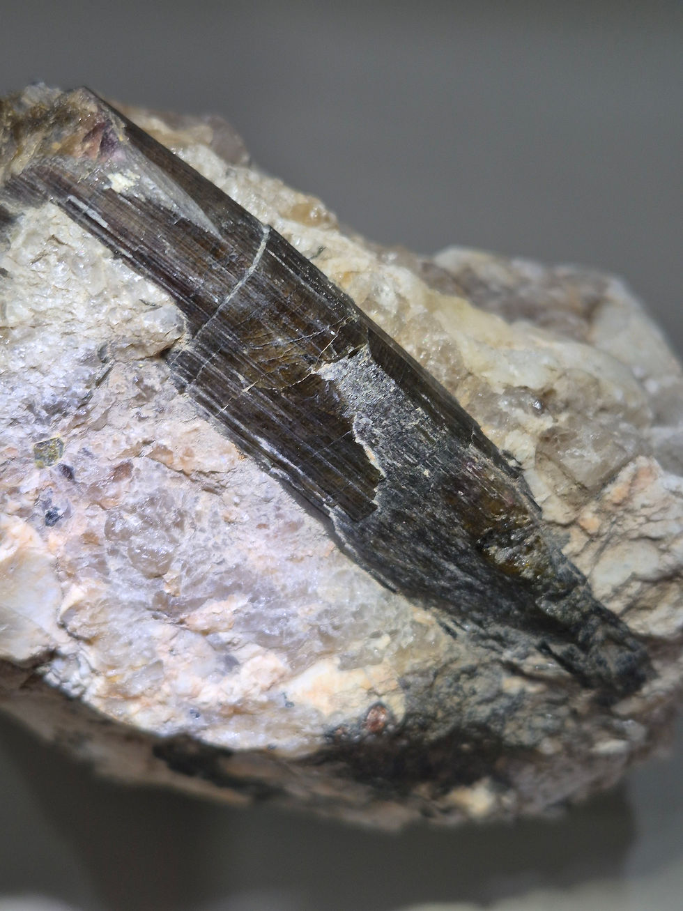Thumbnail: Dravite on pegmatite matrix