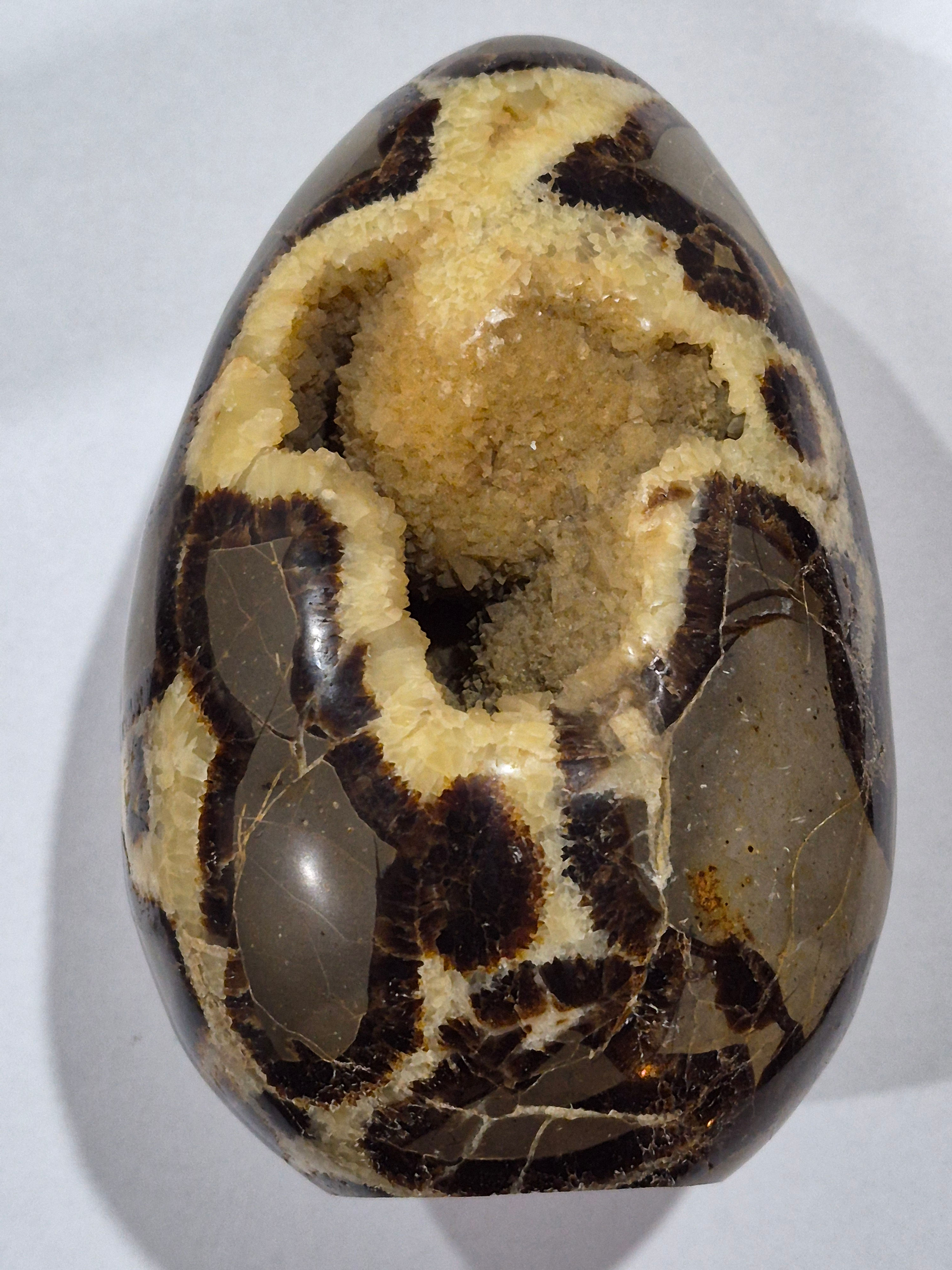 Septarian