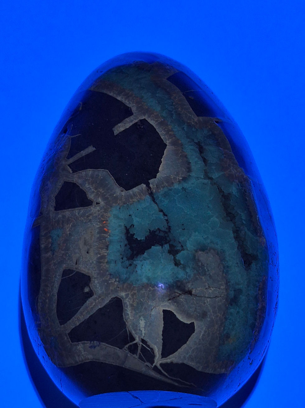 Thumbnail: Septarian