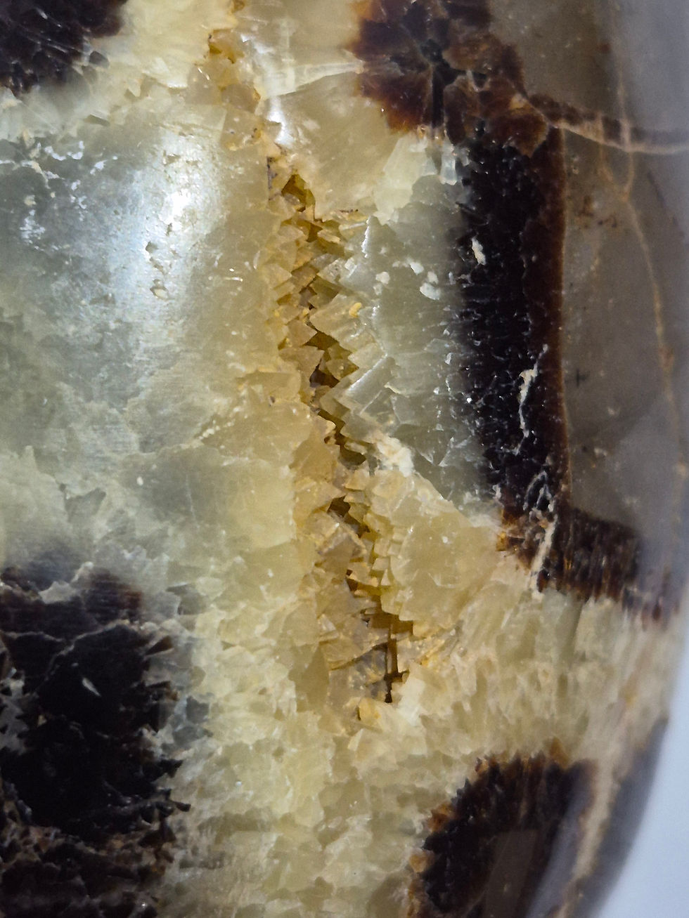 Thumbnail: Septarian