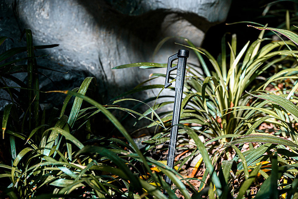 縮圖：LIHGHTWEIGHT 20CM