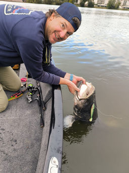 Silure de Seine tenu par un pêcheur en session guidage Extrem Fishing