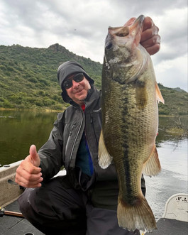 Black Bass pris avec Megabass Triza