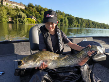 Silure relâché avec soin après capture — guidage Extrem Fishing Seine