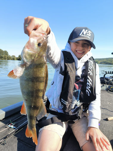 Client heureux avec une belle perche de Seine lors d'un guidage Extrem Fishing