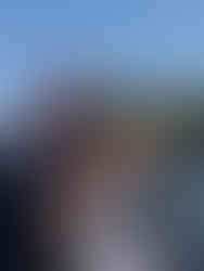 Brochet au Nugg Shad