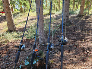 Cannes Deps Huge Custom