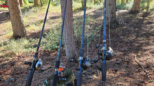 Cannes Deps Huge Custom