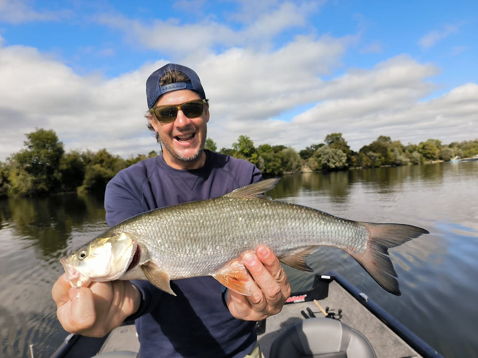 Aspe de Seine guidé par Nicolas Doudeuil