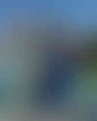 Black Bass pris avec Megabass Triza