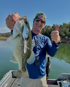 Black Bass pris avec Megabass Triza