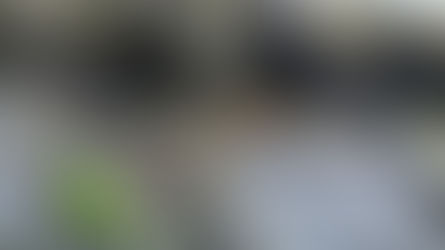 La pêche au crankbait en Seine : L’arme secrète (et méconnue) de vos sessions