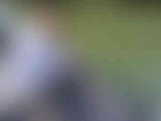 Silure sur la Seine avec Nicolas Doudeuil