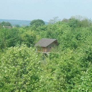 Cabane perchée du Château de Villiers en lisière de forêt, Essay (Orne)