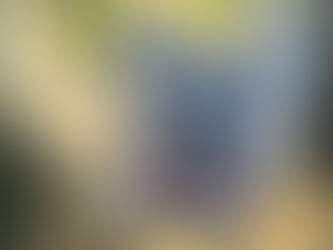 Colostrum for Dogs: Nature’s Immune, Gut, and Healing Powerhouse