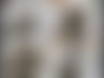 Chia Seeds and Chia Gel: A Simple Superfood Boost for Your Dog