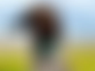 Prebiotics, Probiotics & Postbiotics: Supporting Your Dog’s Gut Health