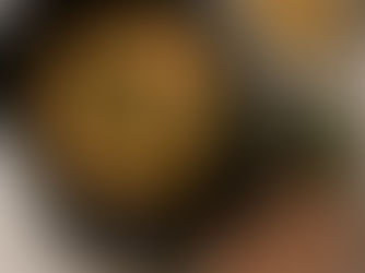 The Healing Power of Bone Broth: A Natural Boost for Your Dog’s Health