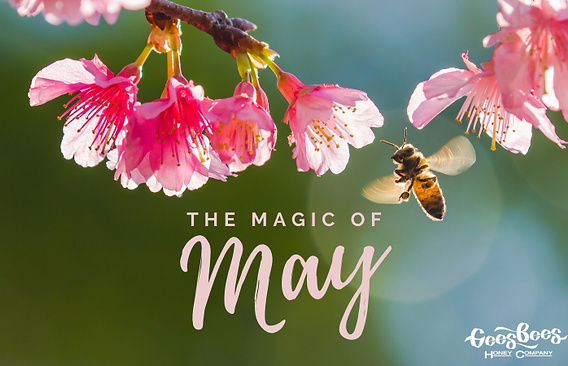 May in the Beehive