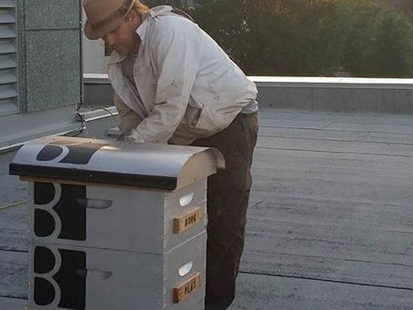 Buzz & Brookstreet Hotel's Beehive