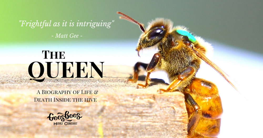 The Queen Bee her birth, life and death