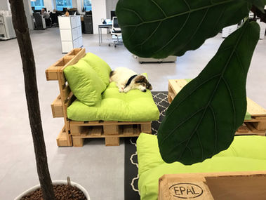 Arbeiten bei Büro Systems AG
