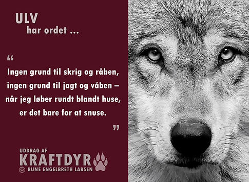 kraftdyr.0.ulv.N.jpg