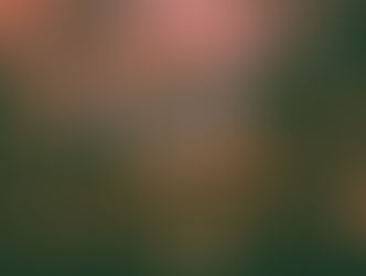 PROGRESS OR PERFECTION: YOU CHOOSE