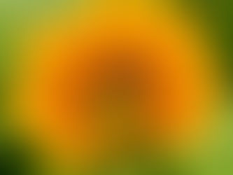 Be Part of The Solution