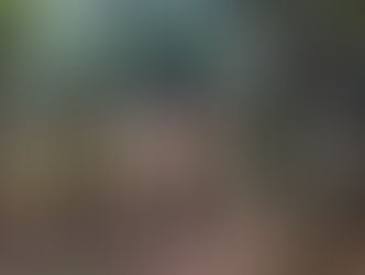 WHAT MAKES YOU FEEL CALM?