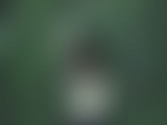 WHEN YOU LIVE IN YOUR COMFORT ZONE, YOU LOSE SIGHT OF YOUR POTENT