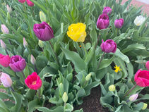  Spring Clean Your Life 🌷🌼🪻