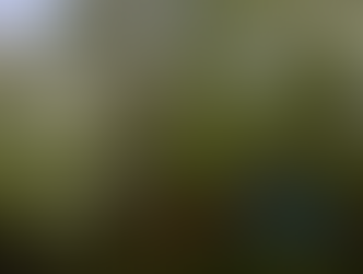 Mental Fog Can Drag You Down